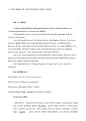 Moters karjeros strategija ir taktika 4 puslapis