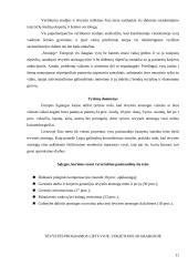 Motinystės ir motinystės (tėvystės) pašalpų programų lyginimas 11 puslapis