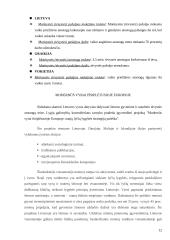 Motinystės ir motinystės (tėvystės) pašalpų programų lyginimas 12 puslapis