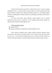 Motinystės ir motinystės (tėvystės) pašalpų programų lyginimas 3 puslapis