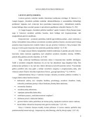 Motinystės ir motinystės (tėvystės) pašalpų programų lyginimas 4 puslapis