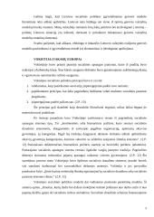 Motinystės ir motinystės (tėvystės) pašalpų programų lyginimas 5 puslapis