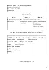 Motinystės ir motinystės (tėvystės) pašalpų programų lyginimas 9 puslapis