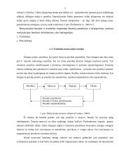 Motyvacijos teorijos bei būdai 4 puslapis