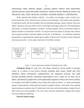 Motyvacijos teorijos bei būdai 7 puslapis