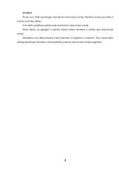 Motyvacijos teorijos analizė 2 puslapis