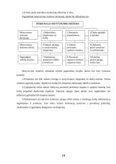 Motyvacijos teorijos analizė 11 puslapis