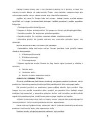 Motyvacijos teorijos analizė 4 puslapis