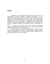 Motyvacijos teorijos 2 puslapis