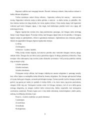 Motyvavimo metodai ir priemonės taikomi Lietuvos ir užsienio verslo įmonėse 8 puslapis