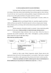 Motyvavimo teorijų įvairovė 5 puslapis