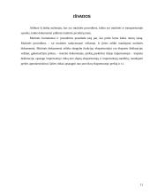 Muitinės dokumentai 11 puslapis