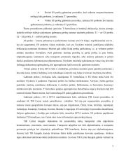 Muitinės dokumentai 5 puslapis