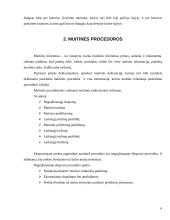 Muitinės dokumentai 6 puslapis