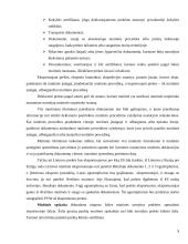 Muitinės dokumentai 9 puslapis