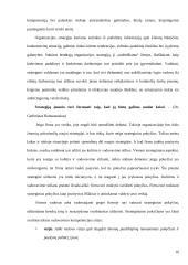 N. Makiavelio sėkmės strategija ir šiandieninis verslas 15 puslapis