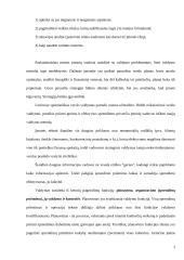 N. Makiavelio sėkmės strategija ir šiandieninis verslas 2 puslapis