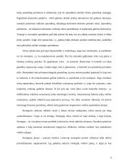 N. Makiavelio sėkmės strategija ir šiandieninis verslas 3 puslapis