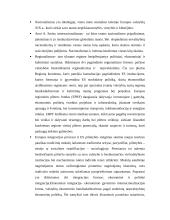 Nacijos kintančiame pasaulyje 12 puslapis