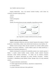 Nacionalinio biudžeto sudarymo principai 3 puslapis