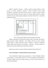 Nacionalinio biudžeto sudarymo principai 5 puslapis