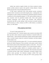 Nacionalinio produkto matavimas  ir ekonominės gerovės vertinimas 11 puslapis