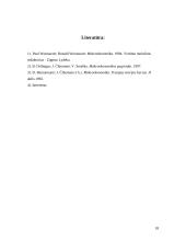 Nacionalinio produkto matavimas  ir ekonominės gerovės vertinimas 17 puslapis