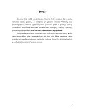 Nacionalinio produkto matavimas  ir ekonominės gerovės vertinimas 3 puslapis