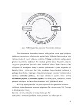 Nacionalinio produkto matavimas  ir ekonominės gerovės vertinimas 5 puslapis