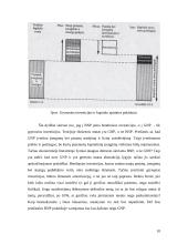 Nacionalinio produkto matavimas  ir ekonominės gerovės vertinimas 9 puslapis