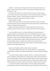 Lietuvos Respublikos nacionalinio biudžeto nagrinėjimas 3 puslapis