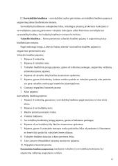 Lietuvos Respublikos nacionalinio biudžeto nagrinėjimas 4 puslapis