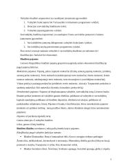 Lietuvos Respublikos nacionalinio biudžeto nagrinėjimas 5 puslapis