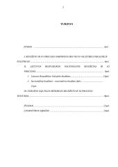 LR nacionalinis biudžetas 2 puslapis