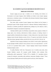 LR nacionalinis biudžetas 18 puslapis