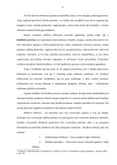 LR nacionalinis biudžetas 6 puslapis