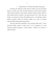 LR nacionalinis biudžetas 7 puslapis