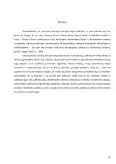 Nacionalizmas 10 puslapis