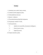 Nafta, importas ir eksportas 2 puslapis