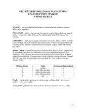 Nafta, importas ir eksportas 13 puslapis