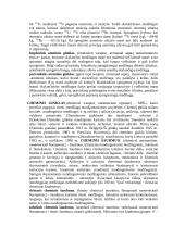 Naikinimo priemonės 7 puslapis