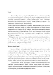 Namų šildymo būdai 2 puslapis