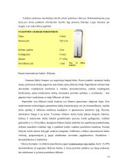 Namų šildymo būdai 19 puslapis