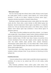 Namų šildymo būdai 3 puslapis