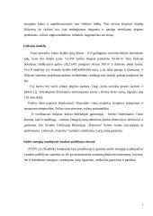 Namų šildymo būdai 7 puslapis