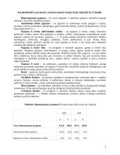 Namų ūkio pajamos bei išlaidos Lietuvoje 4 puslapis