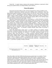 Namų ūkio pajamos ir išlaidos Lietuvoje 2 puslapis