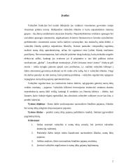 Namų ūkio sektoriai 2 puslapis