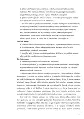 Namų ūkio sektoriai 11 puslapis