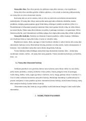 Namų ūkių pajamos ir išlaidos bei šeimos biudžetas 3 puslapis